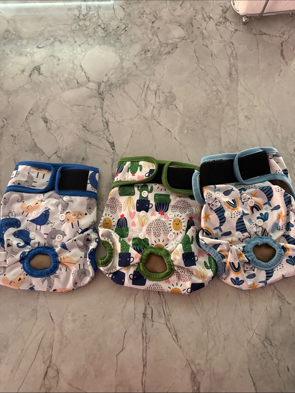 Set of 3 Printed Reusable Dog Diapers — Blue, Green, Teal Accents